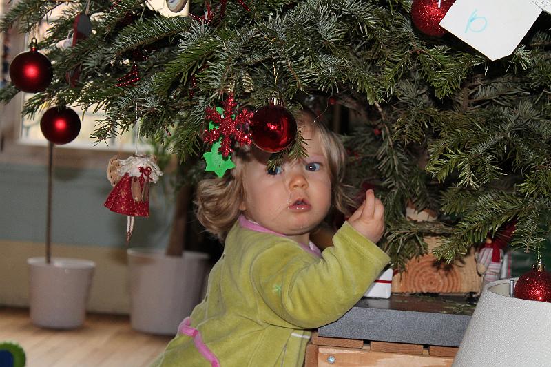 2013-12-27 Zelie en vadrouille, les frangins 010.JPG